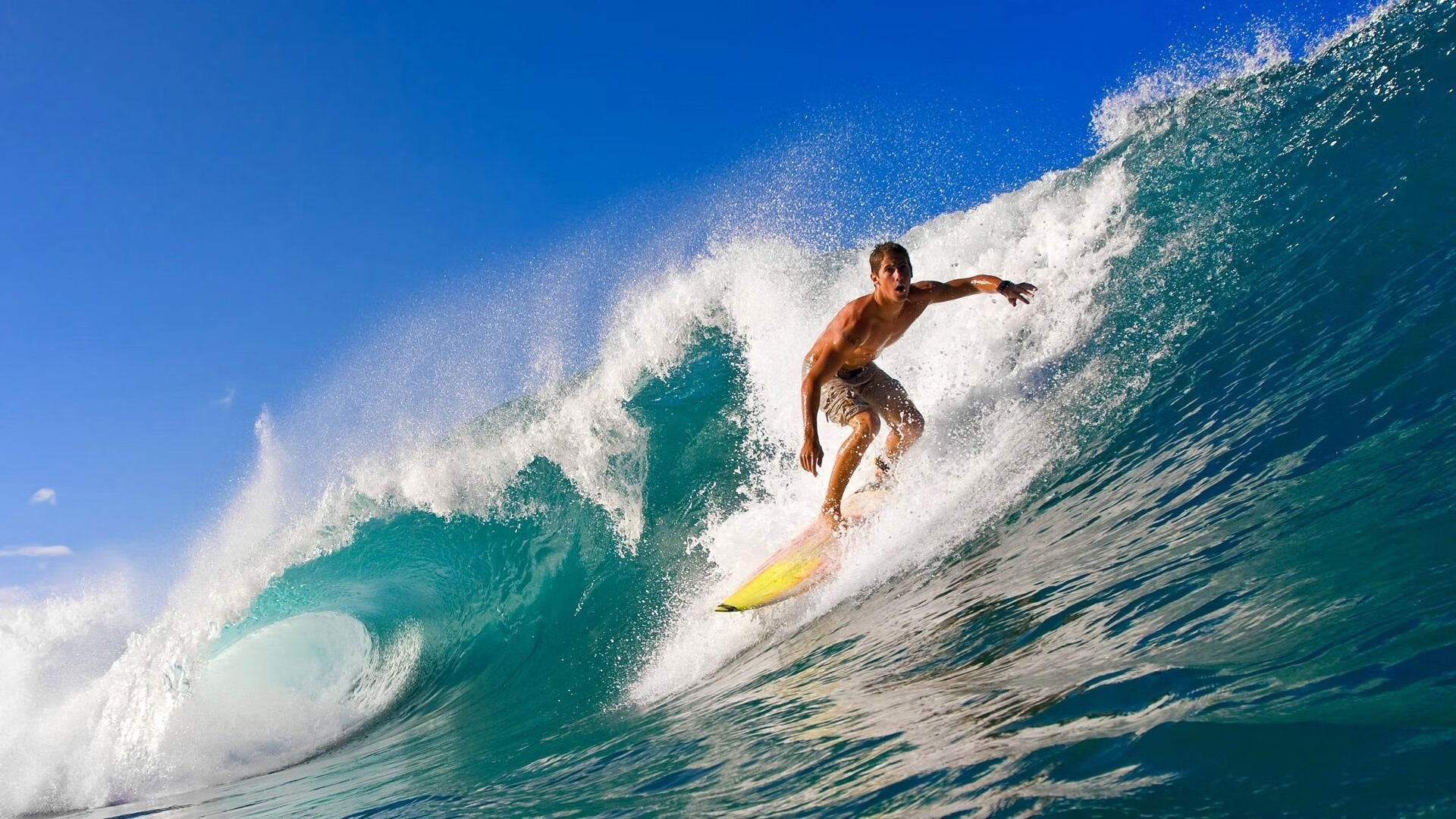 爱游戏综合娱乐-调查：球迷对冠军球队的支持未来会怎样变化？，球队拿冠军的说说